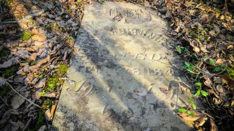 February 2023 - 013.jpg