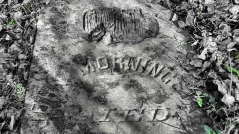 February 2023 - 014.jpg