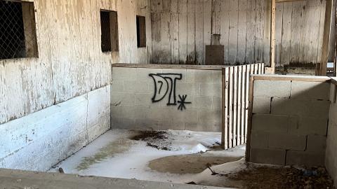 A Quick Stop - 62EA3847-B79D-4681-AC73-33116664896B.jpeg