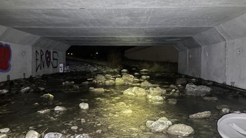 Look, A Hole! - IMG_2227.JPG