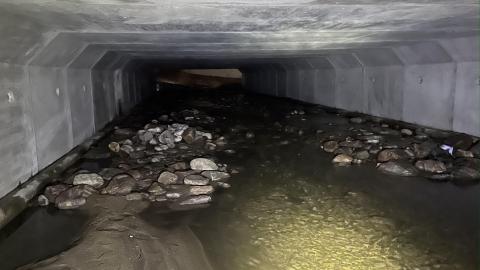 Look, A Hole! - IMG_2241.JPG