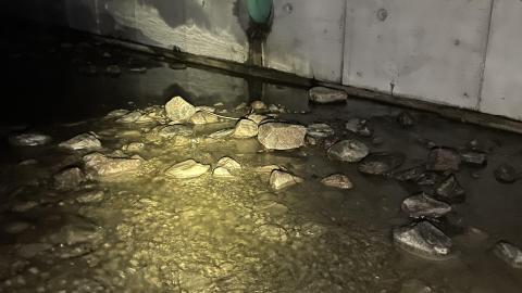 Look, A Hole! - IMG_2243.JPG