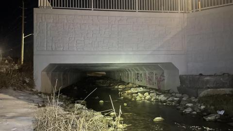 Look, A Hole! - IMG_2254.JPG