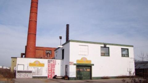 3 Trips - Concord-Floral10.jpg