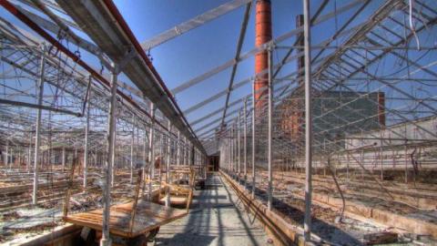 3 Trips - Concord-Floral52.jpg