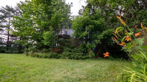 2014 and 2015 - abandoned house walkers line burlington ontario-16-2.jpg