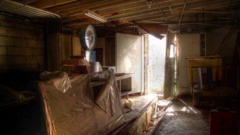 3 Trips - Concord-Floral32.jpg