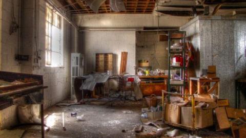 3 Trips - Concord-Floral33.jpg