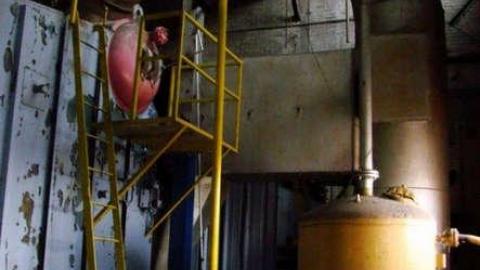 3 Trips - Concord-Floral56.jpg