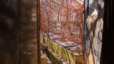 3 Trips - Concord-Floral35.jpg