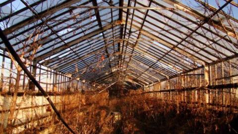 3 Trips - Concord-Floral37.jpg