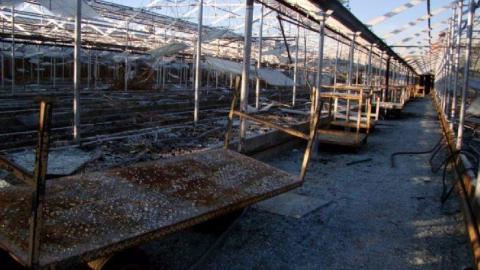 3 Trips - Concord-Floral59.jpg