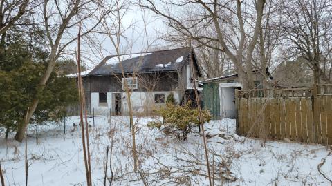 Ballantrae Bando - 20230302_122910.jpg