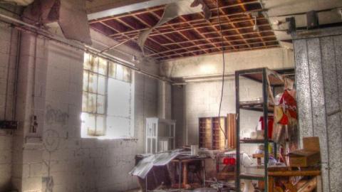 3 Trips - Concord-Floral38.jpg