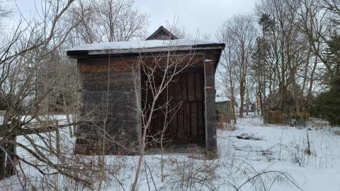 Ballantrae Bando - 20230302_123413.jpg