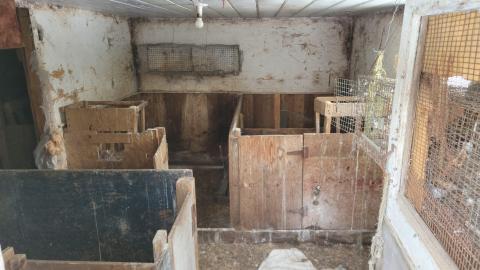 Congregation - 20230302_123637.jpg