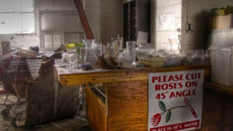 3 Trips - Concord-Floral39.jpg