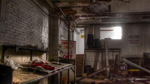 3 Trips - Concord-Floral61.jpg