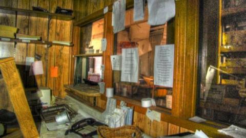 3 Trips - Concord-Floral62.jpg