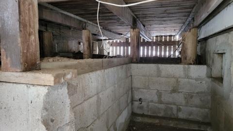 Congregation - 20230302_124620.jpg