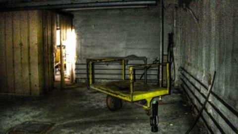 3 Trips - Concord-Floral41.jpg