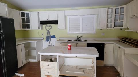 Treetop Monkeys - 20230302_125145.jpg