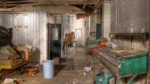 3 Trips - Concord-Floral63.jpg