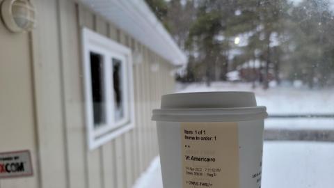 Treetop Monkeys - 20230302_125205.jpg