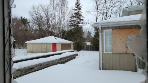 Treetop Monkeys - 20230302_125423.jpg