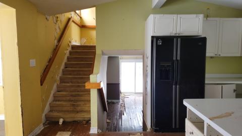 Treetop Monkeys - 20230302_125456.jpg