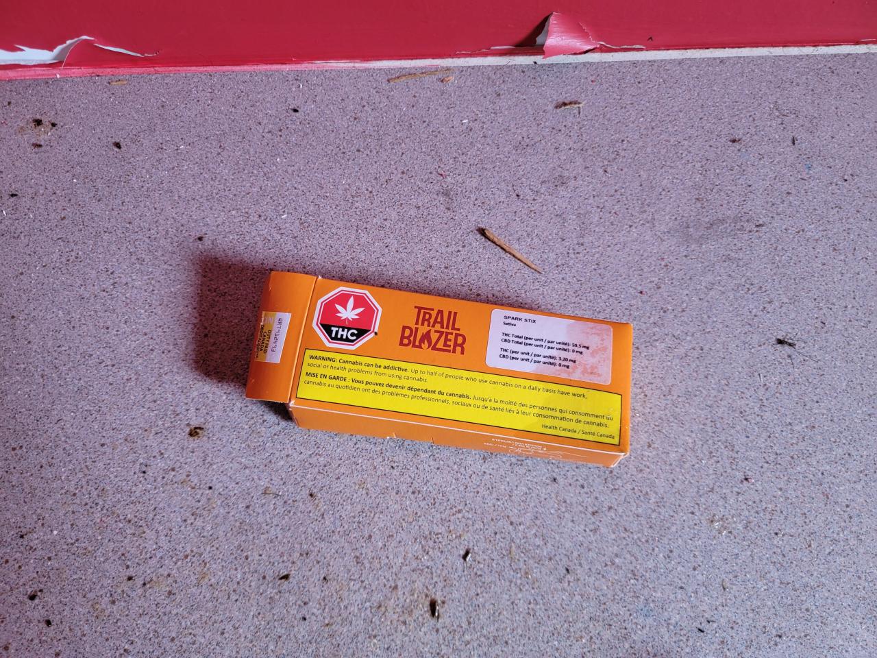 Treetop Monkeys - 20230302_125524.jpg