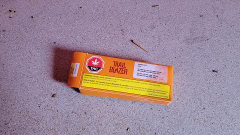 Treetop Monkeys - 20230302_125524.jpg