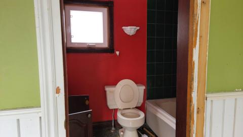 Treetop Monkeys - 20230302_125551.jpg