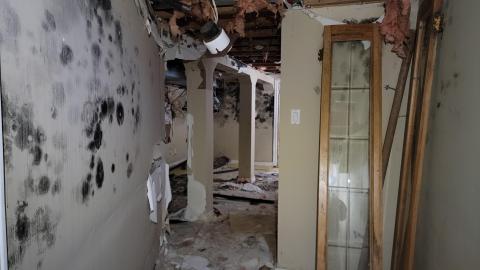 Treetop Monkeys - 20230302_125715.jpg