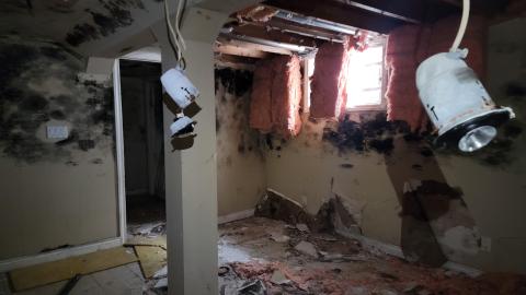 Treetop Monkeys - 20230302_125747.jpg