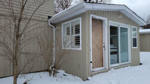 Treetop Monkeys - 20230302_130011.jpg