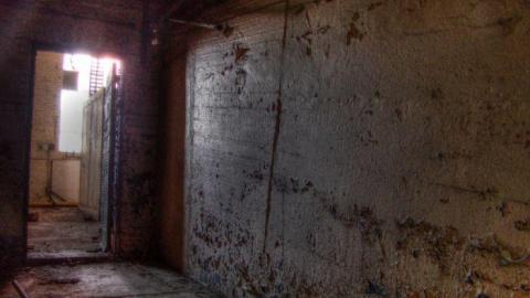 3 Trips - Concord-Floral64.jpg