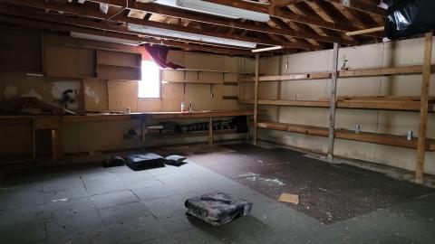 Treetop Monkeys - 20230302_130030.jpg