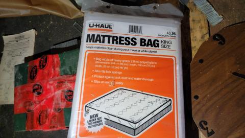 Treetop Monkeys - 20230302_130041.jpg