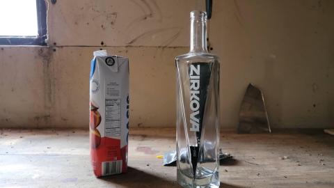 Treetop Monkeys - 20230302_130100.jpg