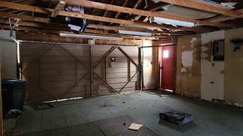 Treetop Monkeys - 20230302_130130.jpg