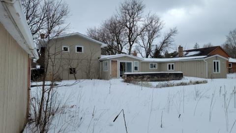 Treetop Monkeys - 20230302_130209.jpg