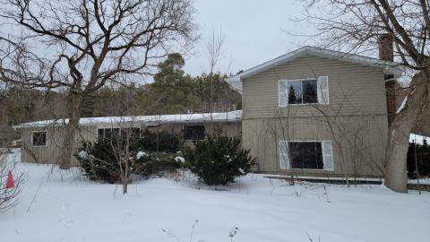 Treetop Monkeys - 20230302_132456.jpg