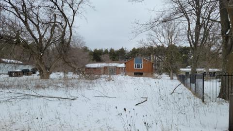 Photo from Angry Birds