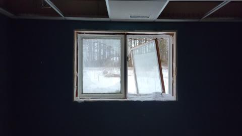 Angry Birds - 20230302_131657.jpg