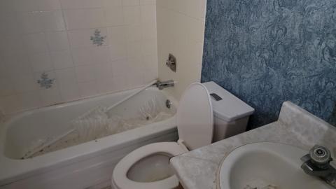 Photo from Angry Birds