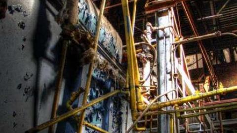 3 Trips - Concord-Floral68.jpg