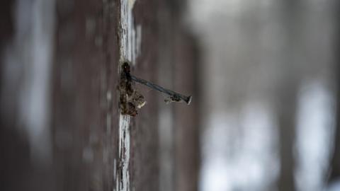 Half Hammered In Nail