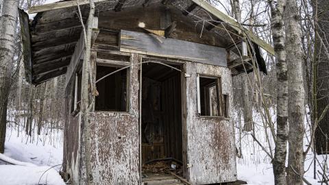 Newly discovered Shed