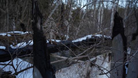 In the Dead of Winter + an overlooked detail! - DSC03241.JPG